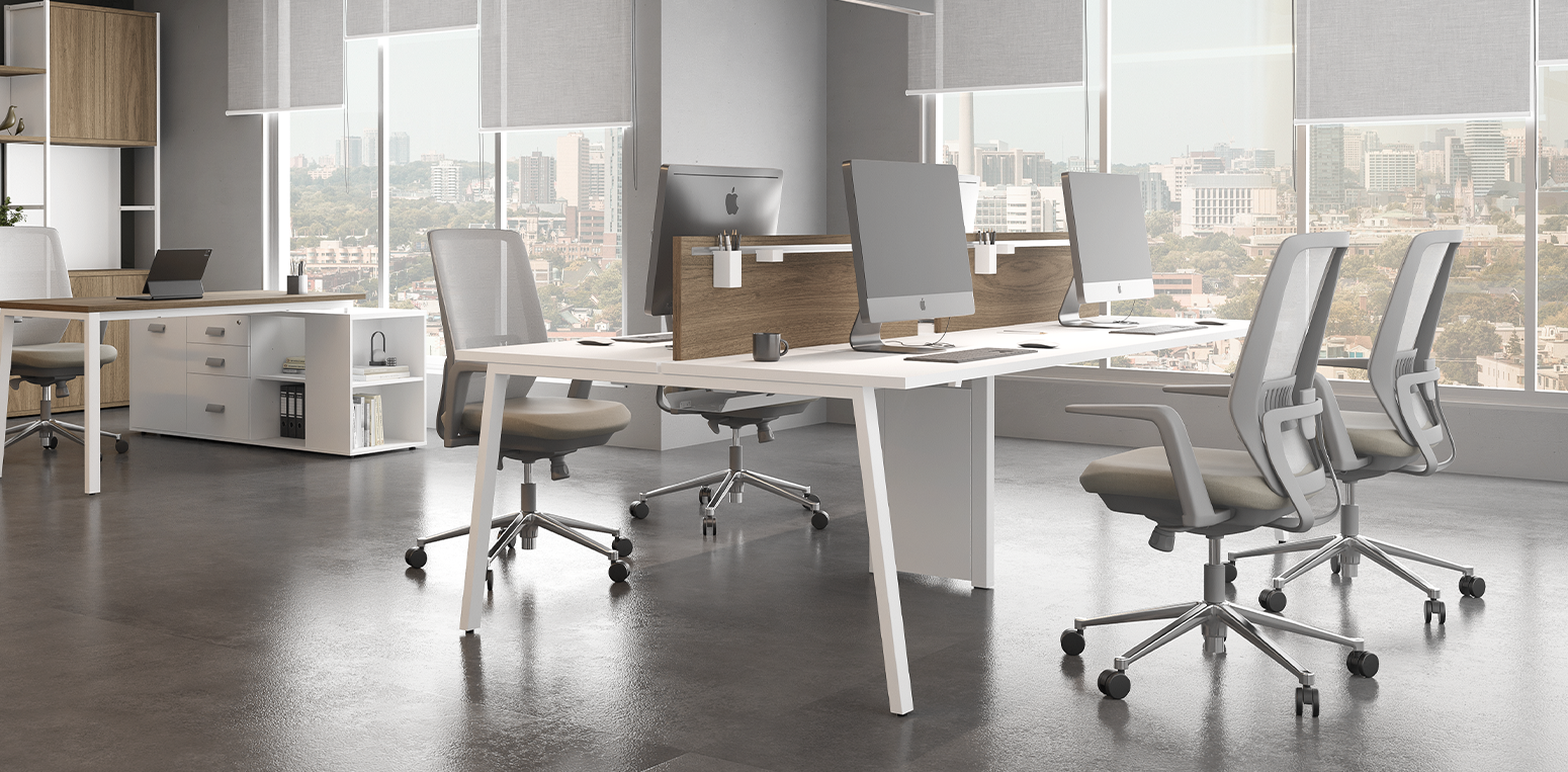 prima-arq-3dd3cc_250708094737